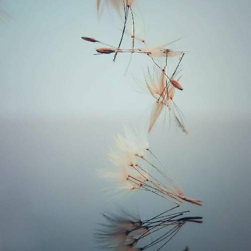 حسن دلشاد افتخارم هستی بی تو پشت ندارم من خودم هیچم